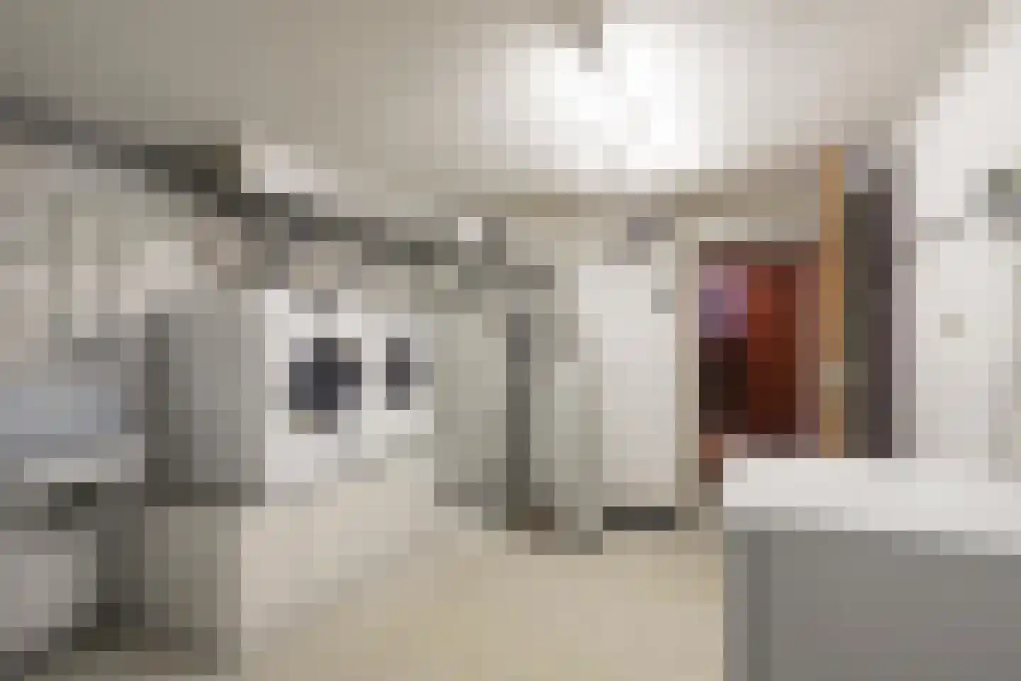 Urnenveldstraat 2 Stein thumbnail 27
