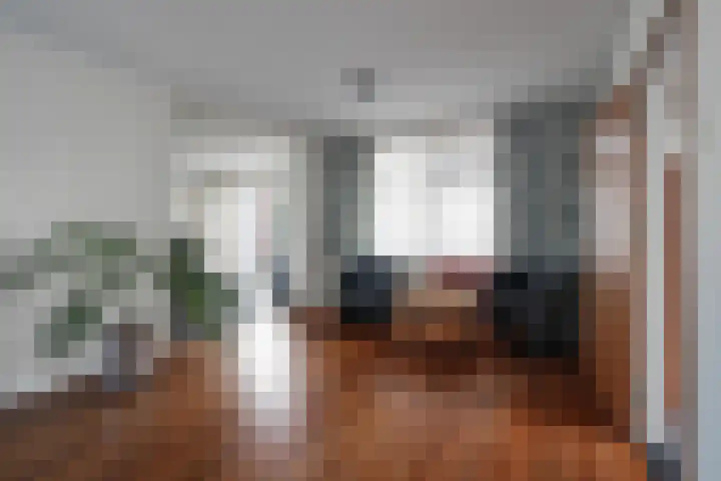 Urnenveldstraat 2 Stein thumbnail 8