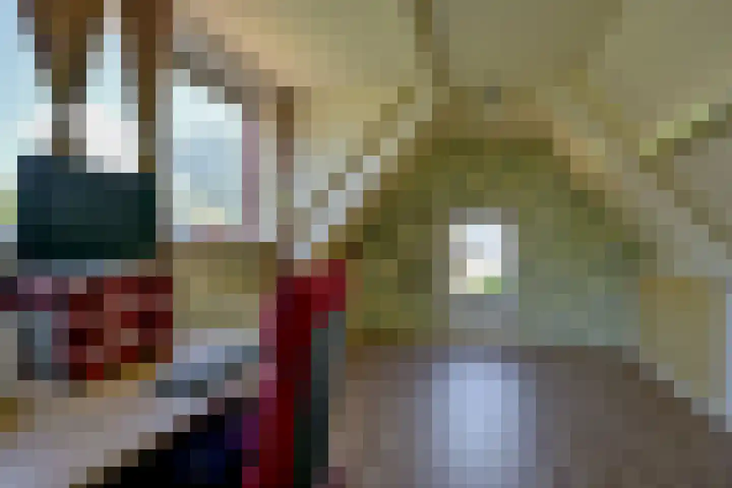 Ursemmerweg 10 Ursem thumbnail 25