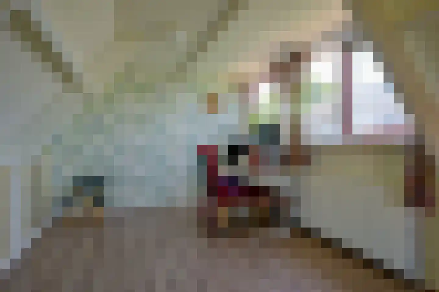 Ursemmerweg 10 Ursem thumbnail 26