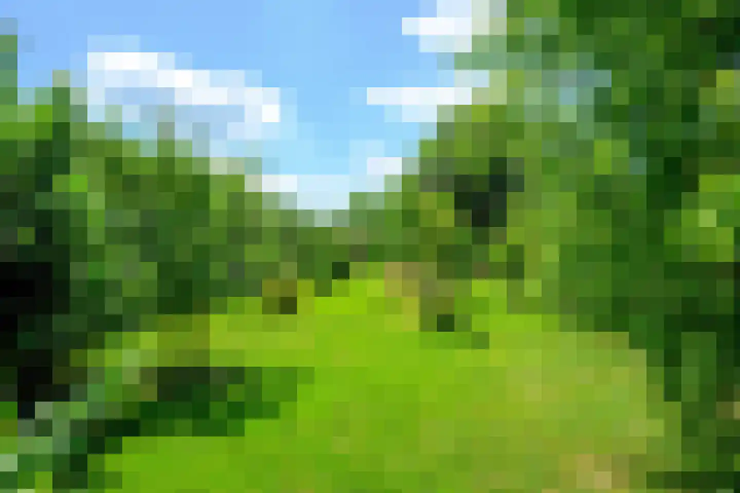 Ursemmerweg 10 Ursem thumbnail 4