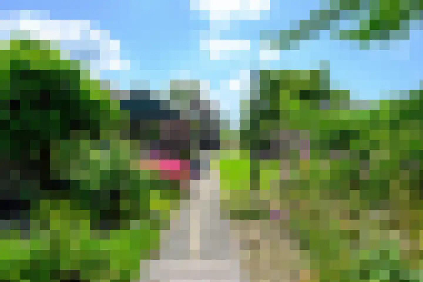 Ursemmerweg 10 Ursem thumbnail 47