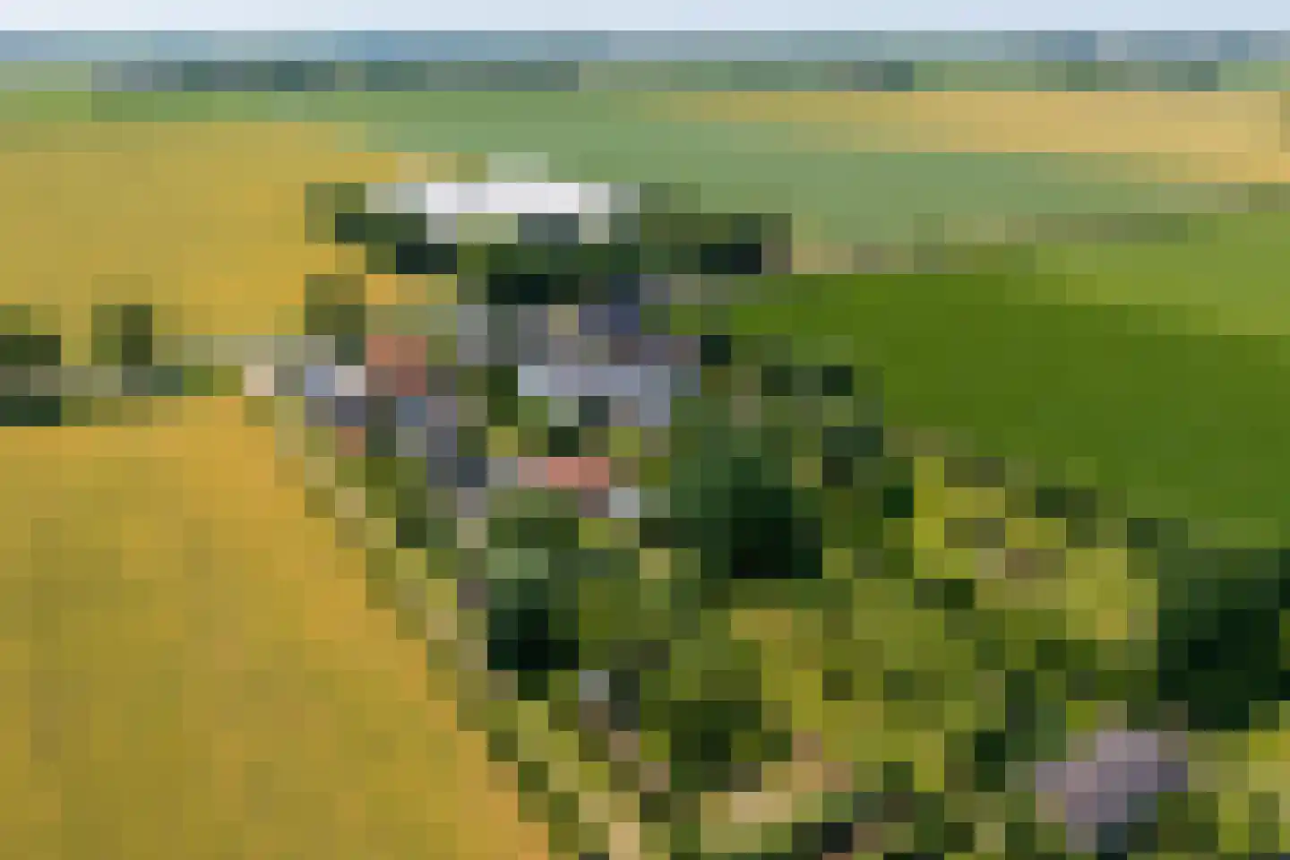 Ursemmerweg 10 Ursem thumbnail 57