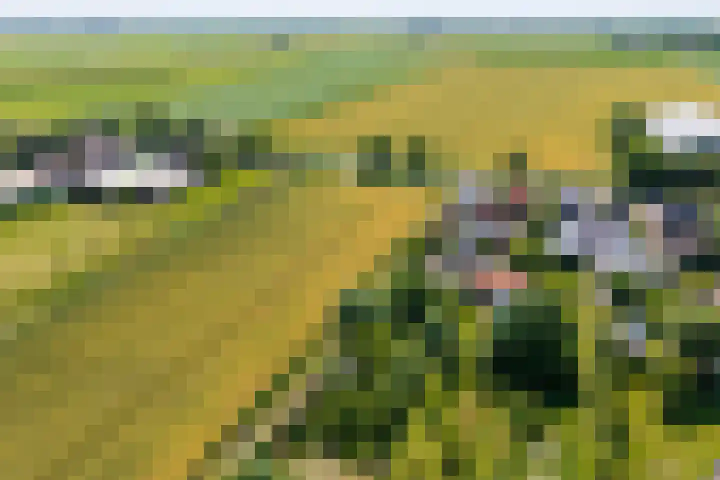 Ursemmerweg 10 Ursem thumbnail 58