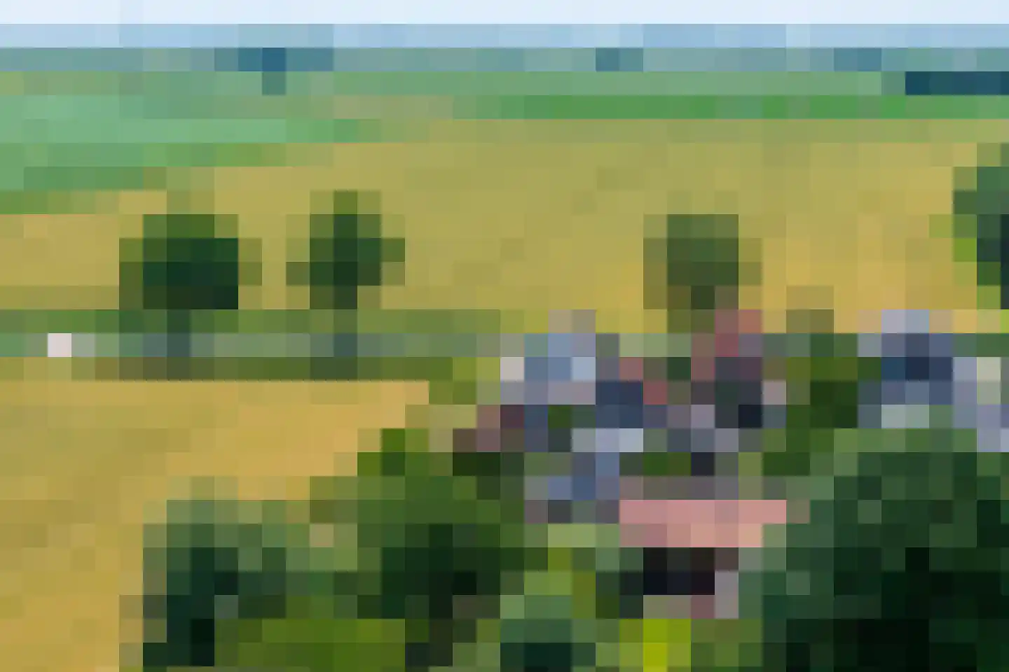Ursemmerweg 10 Ursem thumbnail 60