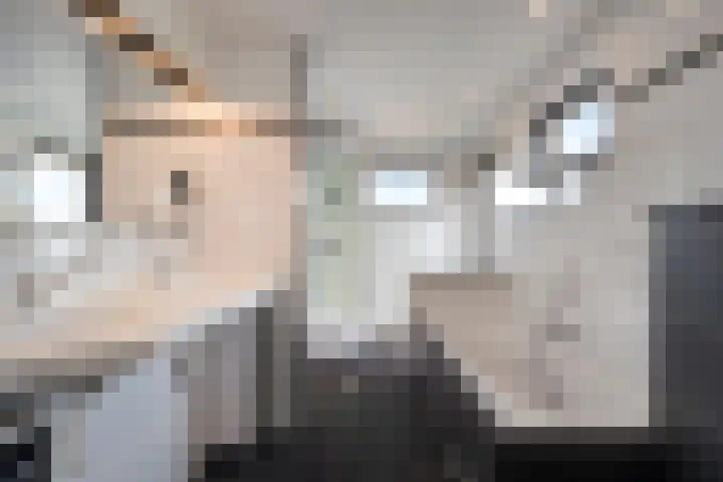 Ursemmerweg 16 Ursem thumbnail 25