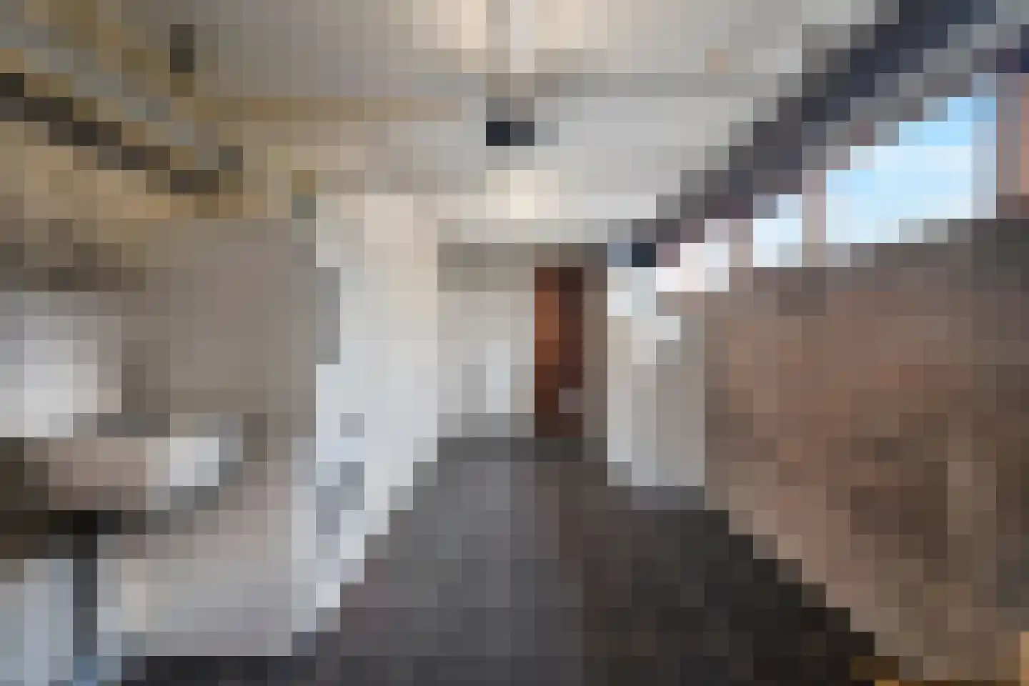 Ursemmerweg 16 Ursem thumbnail 29