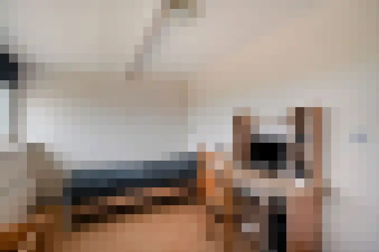 Ursemmerweg 16 Ursem thumbnail 35