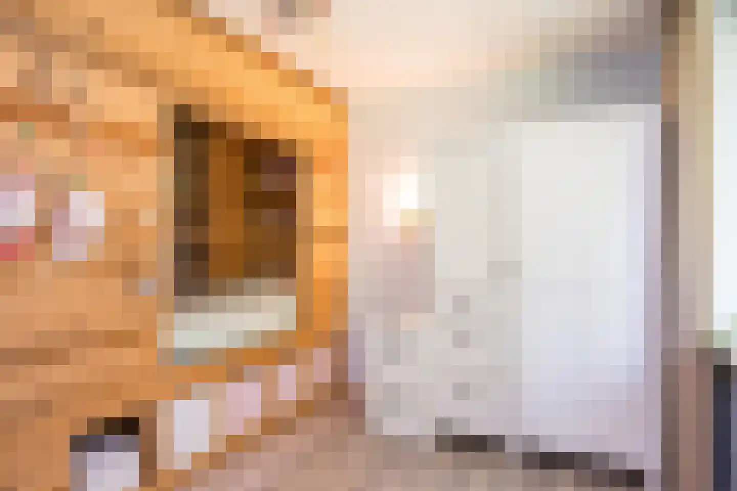 Ursula van Raesfeltlaan 12 De Steeg thumbnail 15