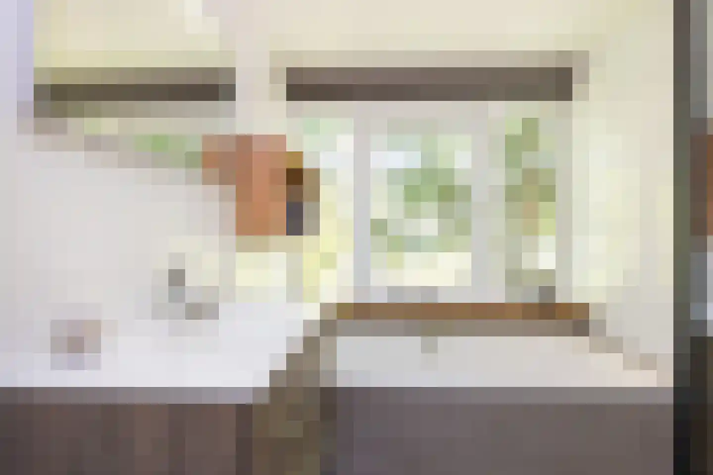 Ursula van Raesfeltlaan 12 De Steeg thumbnail 16