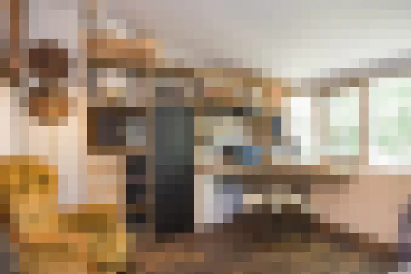 Ursula van Raesfeltlaan 12 De Steeg thumbnail 19