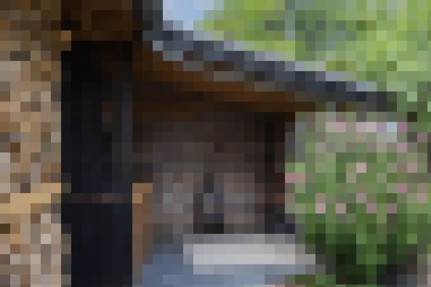 Ursula van Raesfeltlaan 12 De Steeg thumbnail 24