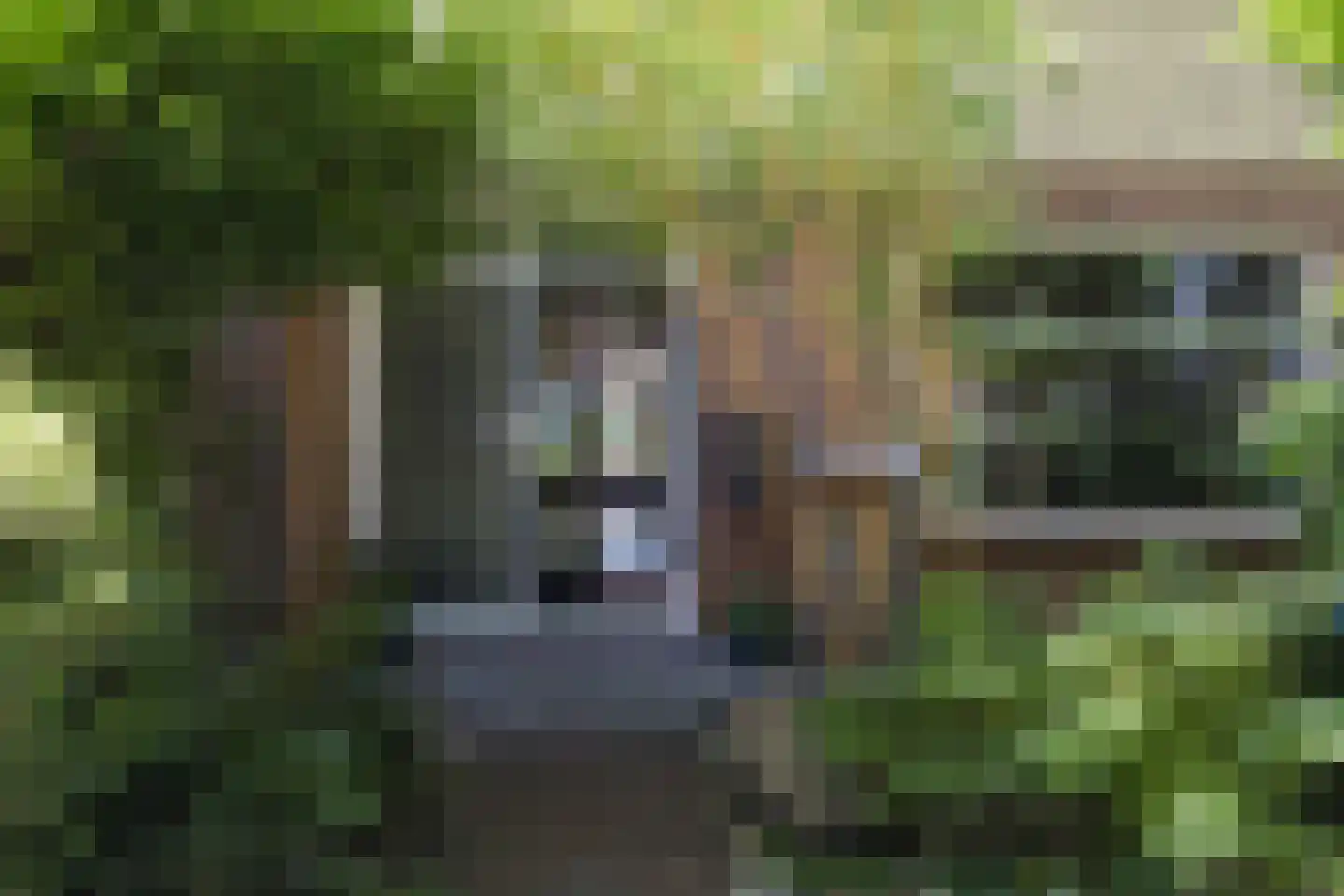 Ursula van Raesfeltlaan 12 De Steeg thumbnail 26