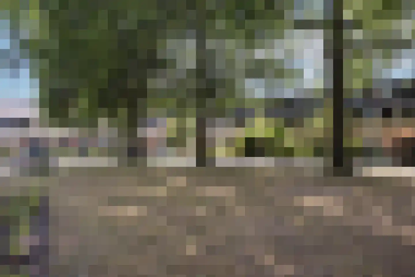 Ursula van Raesfeltlaan 12 De Steeg thumbnail 27