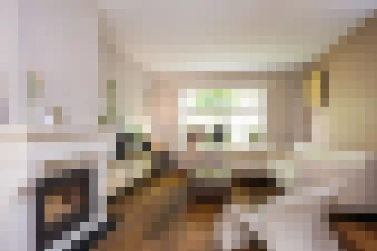 Ursula van Raesfeltlaan 12 De Steeg thumbnail 4