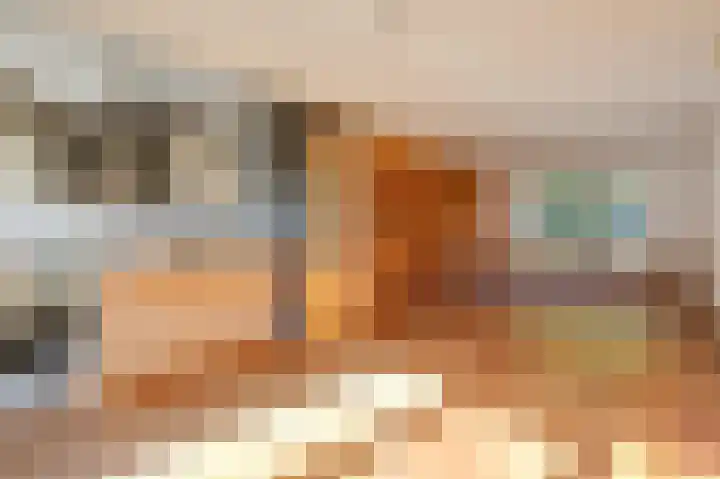 Ursula van Raesfeltlaan 58 De Steeg thumbnail 11