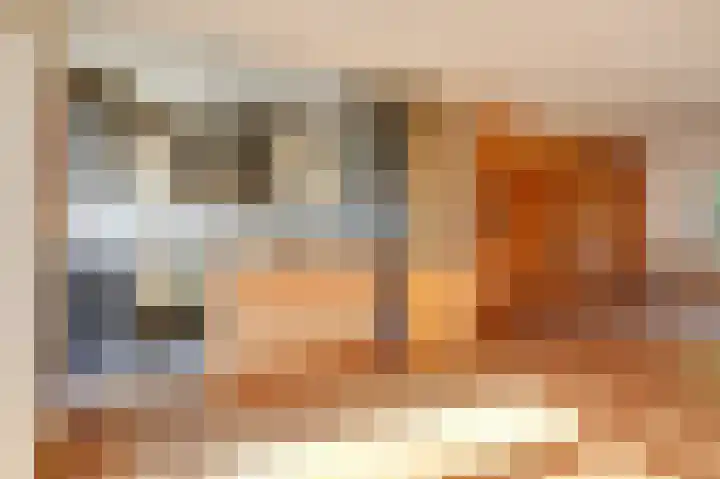 Ursula van Raesfeltlaan 58 De Steeg thumbnail 12