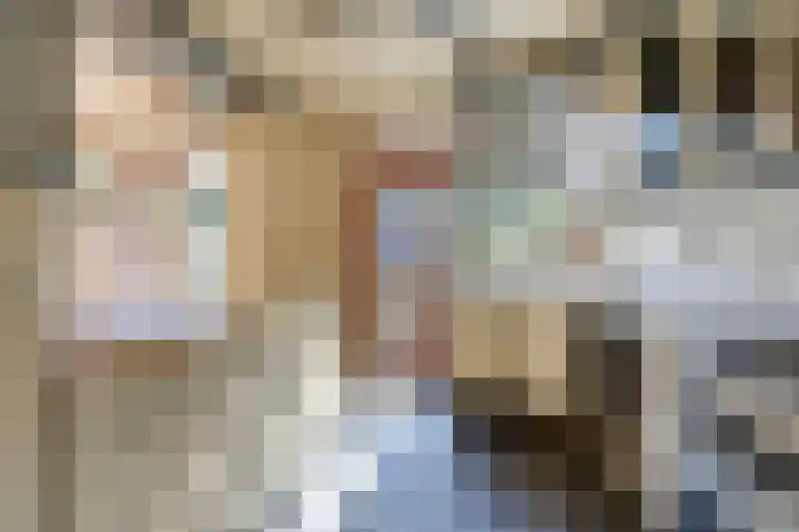 Ursula van Raesfeltlaan 58 De Steeg thumbnail 13