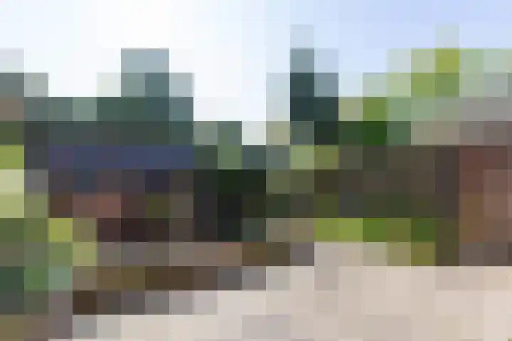 Ursula van Raesfeltlaan 58 De Steeg thumbnail 14