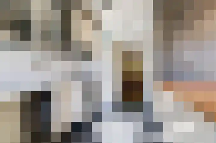 Ursula van Raesfeltlaan 58 De Steeg thumbnail 18