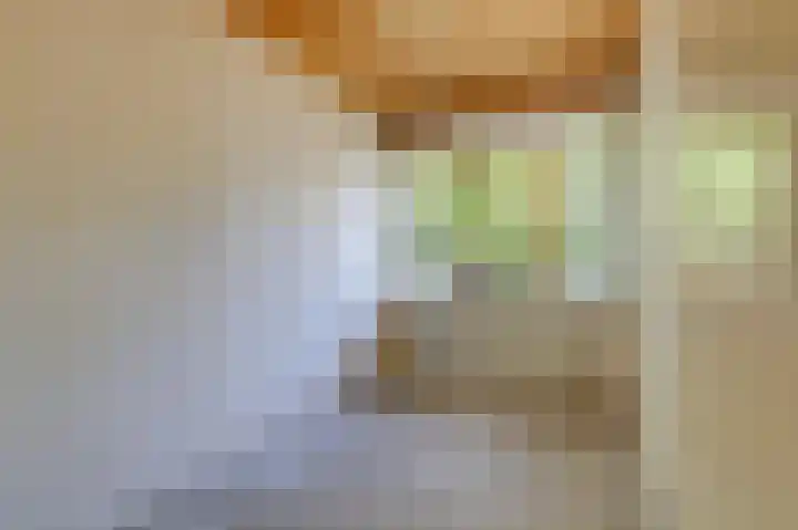 Ursula van Raesfeltlaan 58 De Steeg thumbnail 21