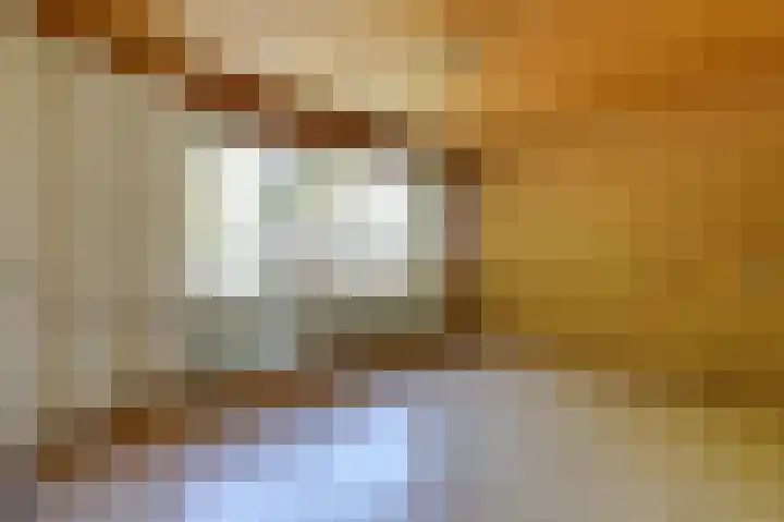 Ursula van Raesfeltlaan 58 De Steeg thumbnail 22