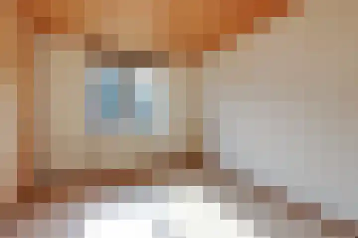 Ursula van Raesfeltlaan 58 De Steeg thumbnail 23