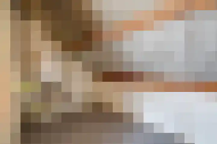 Ursula van Raesfeltlaan 58 De Steeg thumbnail 27