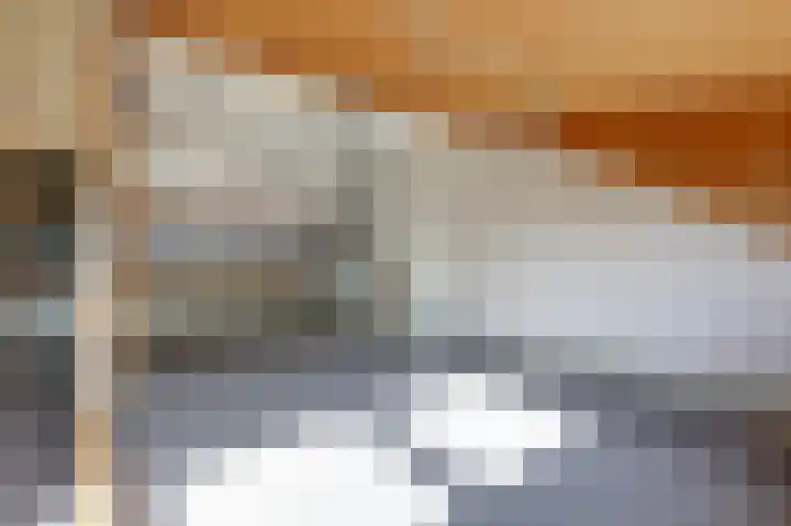 Ursula van Raesfeltlaan 58 De Steeg thumbnail 29