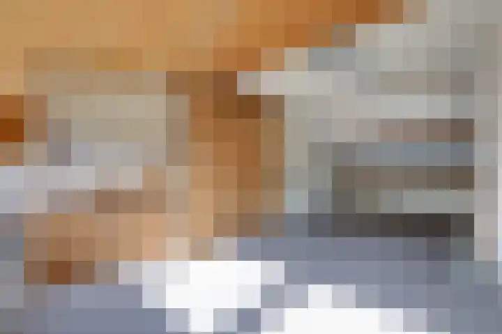Ursula van Raesfeltlaan 58 De Steeg thumbnail 30