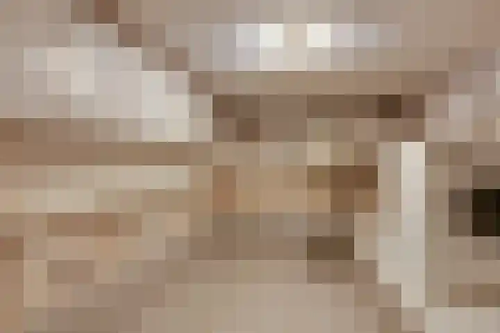 Ursula van Raesfeltlaan 58 De Steeg thumbnail 31