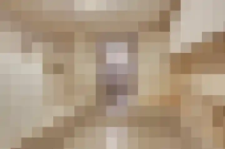 Ursula van Raesfeltlaan 58 De Steeg thumbnail 32