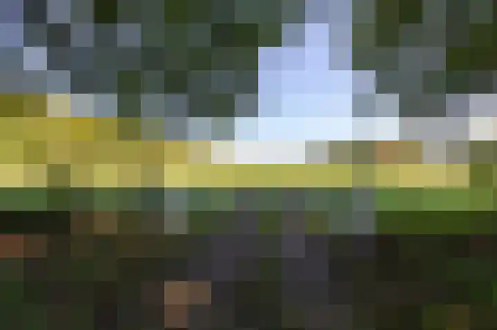 Ursula van Raesfeltlaan 58 De Steeg thumbnail 33