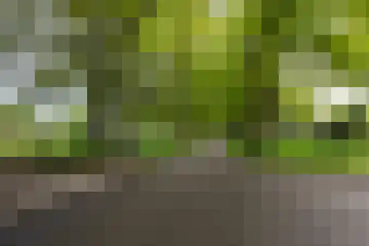 Ursula van Raesfeltlaan 58 De Steeg thumbnail 35