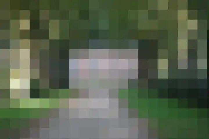 Ursula van Raesfeltlaan 58 De Steeg thumbnail 36