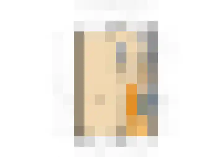 Ursula van Raesfeltlaan 58 De Steeg thumbnail 39