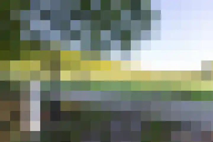 Ursula van Raesfeltlaan 58 De Steeg thumbnail 5