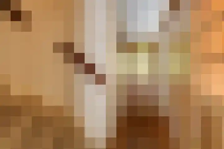 Ursula van Raesfeltlaan 58 De Steeg thumbnail 8