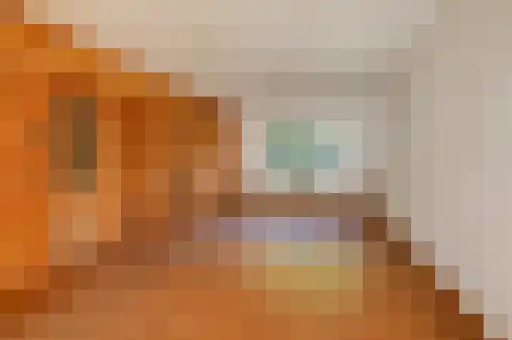 Ursula van Raesfeltlaan 58 De Steeg thumbnail 9