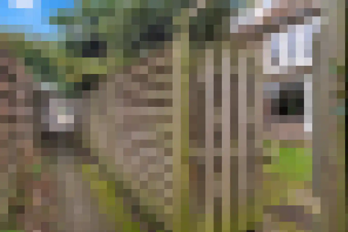 Ursulaland 125 Den Haag thumbnail 19