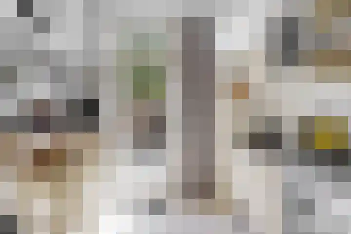 Ursulaland 193 Den Haag thumbnail 13