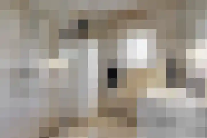 Ursulaland 193 Den Haag thumbnail 16