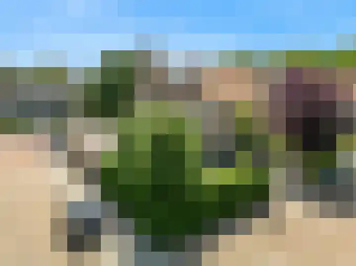 Ursulaland 193 Den Haag thumbnail 32