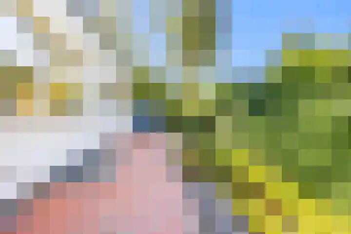 Ursulaland 5 Den Haag thumbnail 16