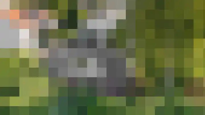 Ursulaland 5 Den Haag thumbnail 17
