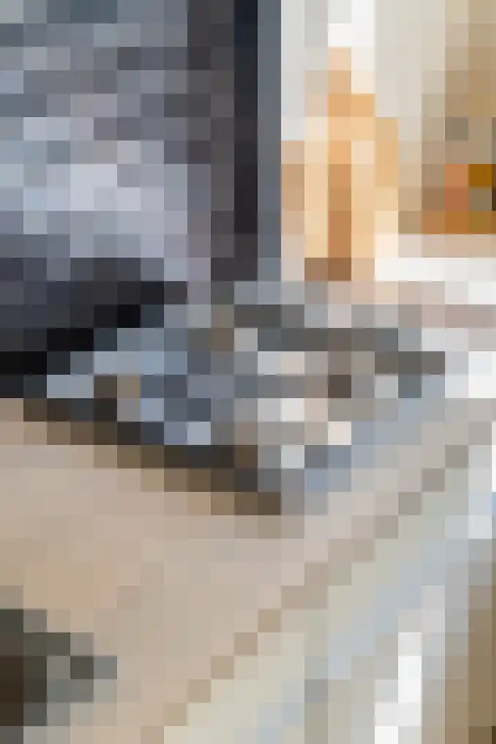 Ursulaland 88 Den Haag thumbnail 10