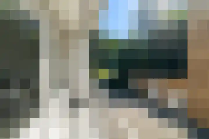 Ursulaland 88 Den Haag thumbnail 17