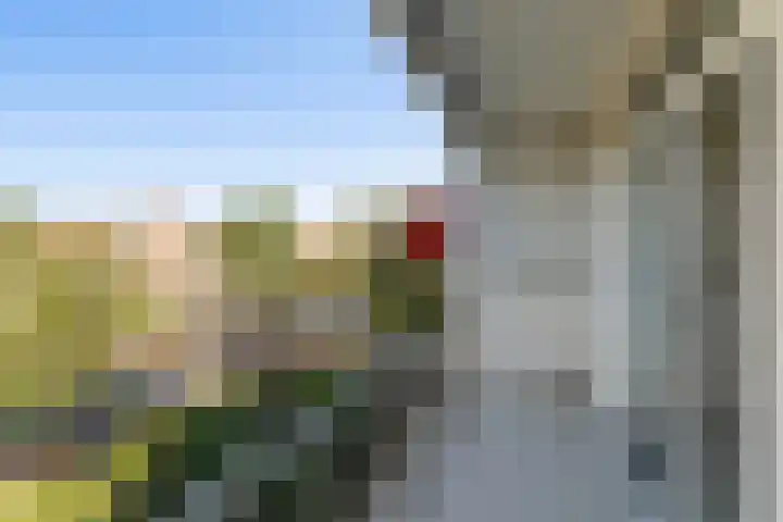Ursulaland 88 Den Haag thumbnail 18