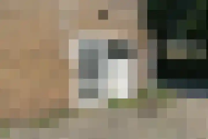 Ursulaland 88 Den Haag thumbnail 23