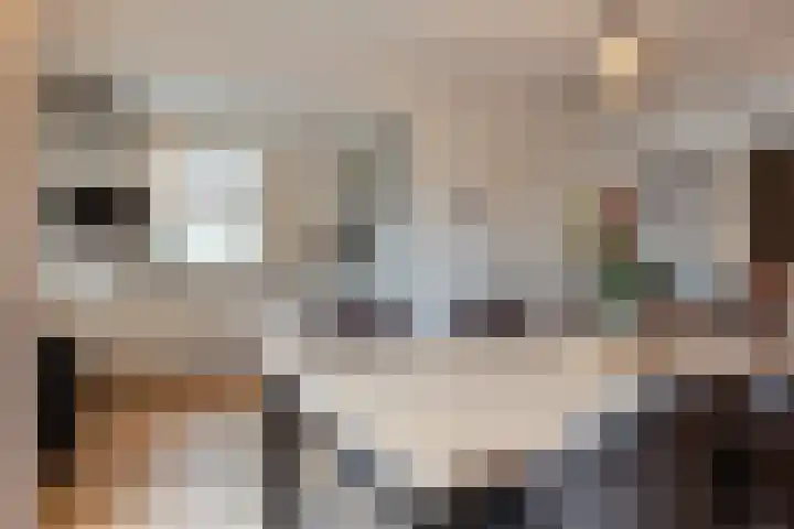 Ursulastraat 1 Harreveld thumbnail 18